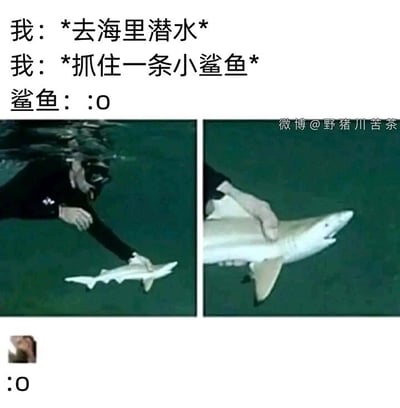 暂无描述