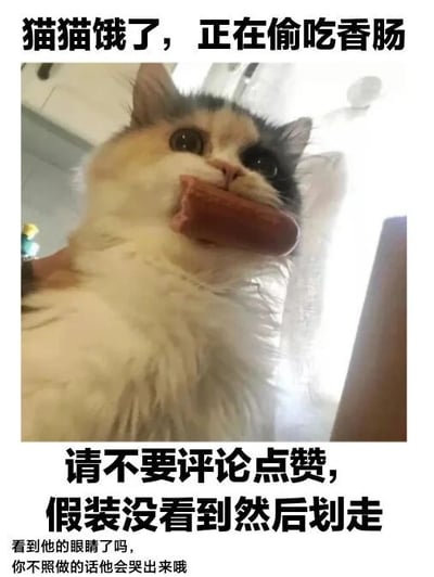 图片上方配有文字'猫猫饿了，正在偷吃香肠'，中间是一只嘴里叼着香肠的猫咪特写，猫咪睁着大大的眼睛，表情看起来十分无辜。图片下方文字写着'请不要评论点赞，假装没看到然后划走 看到他的眼睛了吗，你不照做的话他会哭出来哦'。整体通过猫咪可爱的偷吃场景和俏皮的文字，营造出幽默有趣的氛围，让观众会心一笑。