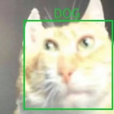 这是一张带有AI识别标注的搞笑图片，画面主体是一只浅黄白相间的真实猫咪，猫咪眼神向上看，表情看起来疑惑又无奈，脸部被一个绿色的AI识别框完整框住，而识别框顶部的标注文字却是英文“DOG”，明显将猫咪错误识别成了狗，形成了强烈的反差感，制造出荒诞搞笑的效果，用来调侃AI图像识别技术偶尔会出现的低级失误。