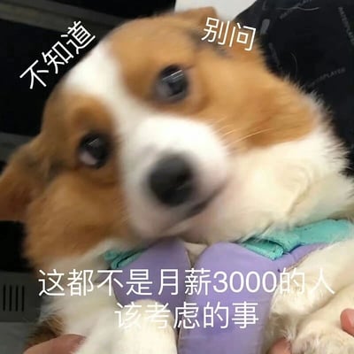 这是一张贴合当代打工人情绪的搞笑表情包，主体是一只眼神涣散、表情迷糊的柯基犬，它被人用手托着，神态茫然无措。图片上方配有文字“不知道”“别问”，下方配文“这都不是月薪3000的人该考虑的事”，通过宠物的迷茫神态与文字内容结合，用幽默调侃的方式，表达出普通收入人群对超出自身能力范围、和自身生活关联不大的复杂问题的回避态度，精准戳中月薪较低的职场人的情绪，成为他们在聊天中回避不想回答的层级外问题、缓解压力的搞笑素材。