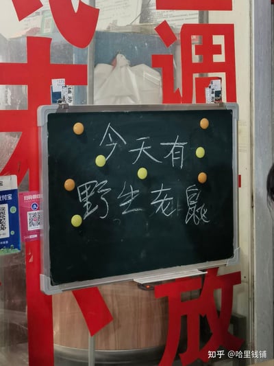 这是一张街边店铺玻璃门的实拍图，玻璃上贴着红色的“调”“放”等镂空大字，中间用夹子固定着一块带黄、橙色磁吸小球的小黑板，黑板上用白色粉笔手写着“今天有：野生老鳳”的字样。黑板左侧能看到支付宝的收款码贴纸，玻璃后方可以看到店内被白色遮盖的物品。这里的“野生老鳳”是谐音梗，店家将普通家禽（推测为鸡/鹅）用“鳳（凤）”来调侃，用风趣接地气的方式宣传当日供应的食材，吸引路人注意。