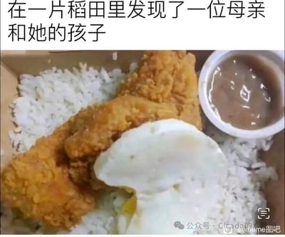这是一张玩视觉联想梗的搞笑美食梗图，上方配文“在一片稻田里发现了一位母亲和她的孩子”，下方展示的是一份普通的炸鸡盖饭：铺满的白米饭被比喻成“稻田”，形态圆润的煎蛋被联想为“母亲”，几块排列的炸鸡排则对应成“孩子”。通过文字引导观看者将普通快餐拟人化，构建出温馨又荒诞的场景，利用视觉联想的反差感制造搞笑效果。