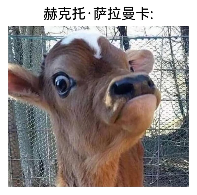 绝命毒师/风骚律师