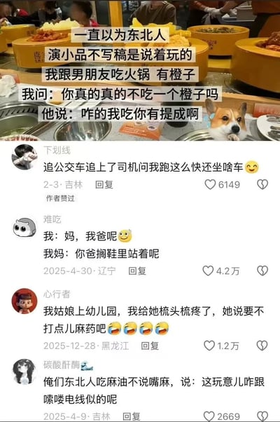 这是一张上下结构的拼接图，上半部分是火锅店用餐场景的照片，桌面摆放着火锅与各类餐食，右上角拼接了一张柯基表情包，同时配文讲述了原作者和东北男朋友的日常对话：作者原本以为东北人演小品不用写稿只是夸张说法，直到自己吃火锅时反复询问男朋友要不要吃橙子，被男朋友反问“咋的我吃你有提成啊”，充满了即兴的小品幽默感；下半部分是社交媒体评论区截图，汇总了四位来自东北不同省份的网友分享的生活里的东北式幽默对话，内容分别是追公交被司机调侃、母子的趣味问答、幼儿园小朋友的童言趣语、东北人对麻味的接地气形容，所有对话都自然又搞笑，体现出东北人自带的幽默天赋。