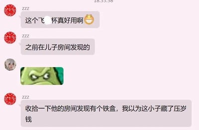 这是一张聊天记录截图，展示了一段充满误会的搞笑对话。用户ZZZ在聊天中提到在儿子房间发现了一个铁盒，起初以为是藏压岁钱，结果发现是一个好用的'飞杯'，并配上了笑脸表情。对方回复了一张愤怒的史莱克表情包，形成了幽默的对比效果。