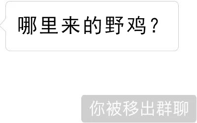 群聊中发‘哪里来的野鸡？’后被移出群聊