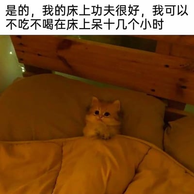 这是一张充满趣味的网络梗图，画面主体是一只橘色的毛茸茸小猫，它被被子盖住身体，只露出上半身趴在枕头上，圆睁着大眼睛，模样软萌无辜。图片上方配有玩文字梗的文案：“是的，我的床上功夫很好，我可以不吃不喝在床上呆十几个小时”，这里的“床上功夫”并非字面外的引申义，而是用字面意思调侃自己（以小猫的视角）能长时间宅在床上不动，精准契合了当下不少年轻人喜欢躺平宅家的生活状态，可爱的宠物形象搭配反差感的玩梗文字，让整幅图显得幽默又治愈，很适合用来表达自己的宅家日常。