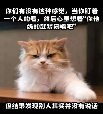图片中是一只趴在木桌上的橘白相间长毛猫，它眼神半眯，表情平静中带着一丝不耐烦。图片上方配有文字“你们有没有这种感觉，当你盯着一个人的看，然后心里想着‘你他妈的赶紧闭嘴吧’”，下方文字为“但结果发现别人其实并没有说话”。整体通过猫咪的表情与文字内容的反差，幽默地描绘了人们有时会陷入自我内心戏，误以为他人在说话而产生吐槽冲动的日常场景，引发观众共鸣。