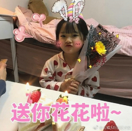 权律二送花萌照：送你花花啦~