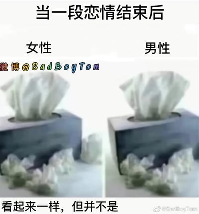 这是一张左右对比的创意梗图，主题是“当一段恋情结束后”男女的情绪表现差异：
- 左侧标注「女性」的纸巾盒外堆着一堆用过的纸巾，呈现出分手后情绪崩溃、大哭消耗大量纸巾的状态；
- 右侧标注「男性」的纸巾盒看似也有一堆用过的纸巾，但实际纸巾盒是倒置的，盒内的纸巾根本没有被抽出，是摆造出难过的假象。
图末的文字「看起来一样，但并不是」点破了这个反差，调侃男性分手后倾向于伪装情绪、不外露真实难过的特点，用生活化的物品制造出搞笑又写实的效果。