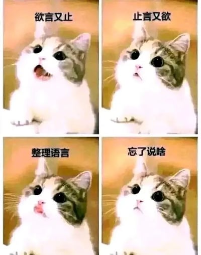 这是一张四格猫咪表情包，展示了网红猫楼楼从欲言又止、止言又欲、整理语言到忘了说啥的一系列表情变化，生动还原了人们在社交中想说话却犹豫、最终忘记要说什么的尴尬场景，表情丰富极具感染力。