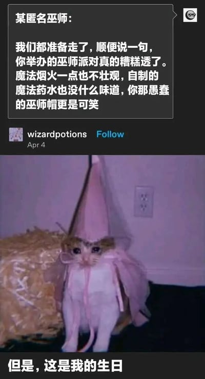 图片上半部分为一段模拟社交媒体评论的对白，内容是“某匿名巫师”留言批评派对：“我们都准备走了，顺便说一句，你举办的巫师派对真的糟糕透了。魔法烟火一点也不壮观，自制的魔法药水也没什么味道，你那愚蠢的巫师帽更是可笑”。下半部分是一张照片，一只猫咪戴着粉色尖顶巫师帽，穿着配套的薄纱裙，背景是室内墙壁和电源插座。图片底部有一行文字：“但是，这是我的生日”。整体通过巫师的严厉批评与猫咪生日派对的可爱场景形成反差萌，营造出搞笑又略带委屈的效果。