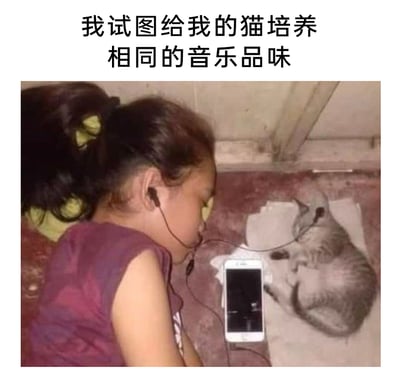 这是一张温馨又搞笑的图文混排静态图，上方配文“我试图给我的猫培养相同的音乐品味”。画面中，一个小女孩侧躺着，一只耳朵戴着耳机，另一只耳机被放在旁边蜷缩在垫子上的猫咪头部位置，中间的智能手机作为音源，将二者连接起来，呈现出主人试图通过共享音乐的方式，让猫咪和自己拥有相同音乐品味的可爱场景，整体氛围轻松治愈，充满生活趣味，展现了宠物与主人之间的亲密互动。