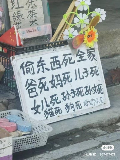 这是一张拍摄于街头小店外的照片，画面核心是一块白色手写标语牌，上面用黑色粗体字写满了极端的诅咒内容：“偷东西死全家 爸死妈死儿子死 女儿死 孙子死孙女死 猫死 狗死 蟑螂不死”，以夸张激烈的诅咒来威慑小偷。标语牌上方装饰着塑料小花和向日葵造型的摆件，旁边的黑色筐内插着一面中国国旗，还有写有“红绿花茶”字样的木牌，下方的白色塑料筐里摆放着若干彩色块状物品。整体场景充满了市井气息，店主通过这种极端的方式表达对商品被盗的愤怒与无奈。