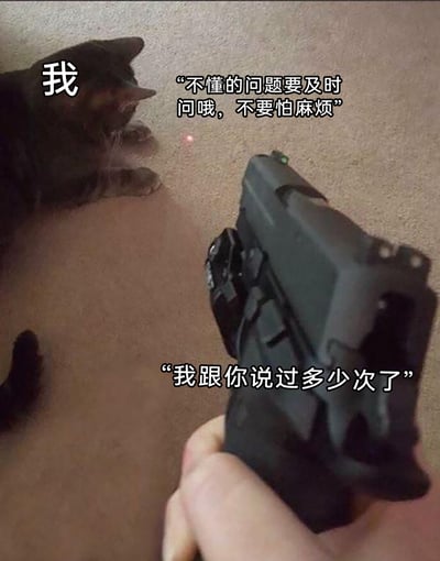 这张梗图以一只被激光红点吸引的猫指代“我”，旁边带有激光的枪象征着职场上级、长辈或老师这类提出要求的角色。图中上方配文“不懂的问题要及时问哦，不要怕麻烦”，是这类角色最初给出的正向要求；下方配文“我跟你说过多少次了”，则是当“我”遵循要求提问或重复询问时，对方表现出的不耐烦指责。通过这种前后完全矛盾的指令，生动还原了很多人在工作或学习中，面对这类无法统一的要求时的尴尬、不知所措与无奈，用幽默的方式精准戳中了当代人在类似场景下的社恐与窘迫，引发广泛共鸣。