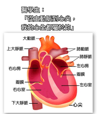 图片上方是医学生的情话文字：「医学生：『从主动脉到心尖，我的心全都属于你』」，下方是一张详细的心脏解剖示意图，标注了大动脉、上大静脉、肺动脉、肺静脉、左心房、瓣膜、左心室、右心房、右心室、下大静脉、心尖等结构。通过将医学专业术语融入浪漫表白，形成幽默又有创意的效果，展现了医学生独特的表达方式。