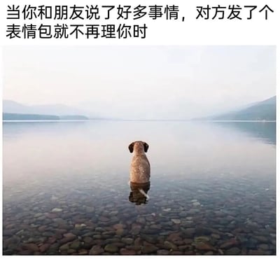 图片上方配有文字'当你和朋友说了好多事情，对方发了个表情包就不再理你时'，下方是一只棕色的狗独自坐在平静的湖边，背对着镜头望向远方的山水。湖面如镜，倒映着天空和山脉，整体氛围宁静却带着一丝落寞，生动形象地表现了在社交沟通中被朋友用表情包敷衍后内心的孤独与无奈。