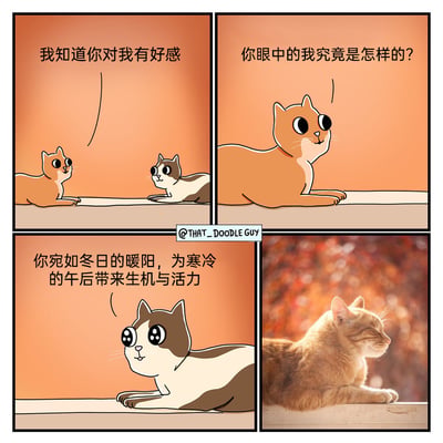 这是一组四格暖心漫画，第一格中，卡通橘猫趴在平台上，对着对面的花猫说道“我知道你对我有好感”；第二格，橘猫带着期待的神情追问“你眼中的我究竟是怎样的？”；第三格，花猫温柔地回应，将橘猫比作“冬日的暖阳，为寒冷的午后带来生机与活力”；第四格则放出一张真实的橘猫照片，橘猫正惬意地趴在阳光下眯眼休憩，完美呼应了花猫的夸赞，把卡通的浪漫对话和现实的温馨场景结合，营造出十足的治愈感，让观者感受到温暖的氛围。