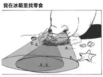 这是一张充满创意的搞笑卡通梗图，标题为“我在冰箱里找零食”。创作者运用视觉错位的手法，将人物凑近冰箱内部翻找零食的日常场景，荒诞地拟作成海底探索画面：人物的脸部与胡须被描绘成海底的礁石地形，人物瞪大双眼，视线化作多层光锥区域，仔细扫视这片“海底”；地面上散落的零食残渣被画成类似贝壳、海星的海洋生物残骸，生动夸张地还原了人们在冰箱里不放过任何角落、执着找零食的专注状态，用趣味化的类比放大了日常小事的幽默感，引发观者共鸣。