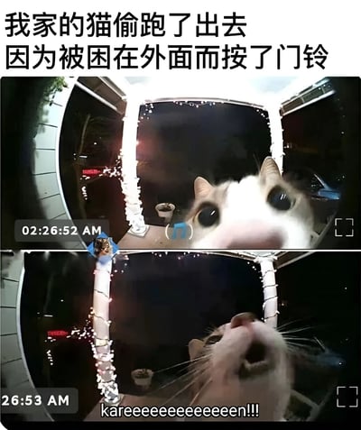 这张图片由两张监控截图组成，展示了一只猫在深夜按门铃的有趣场景。上方文字说明"我家的猫偷跑了出去 因为被困在外面而按了门铃"。第一张截图显示时间为02:26:52 AM，一只猫正睁大眼睛看着门铃摄像头；第二张截图显示时间为02:26:53 AM，猫张大嘴巴似乎在叫喊，下方配有文字"kareeeeeeeeeeeeeen!!!"。