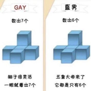 左右对比图展示GAY和直男数立方体的差异。左侧GAY视角能数出7个立方体，配文'脑子很灵活 一眼就看出7个'；右侧直男视角只能数出6个，配文'玉皇大帝来了 它都是只有6个'。通过立体几何图形测试来调侃不同性向人群的空间想象力差异。