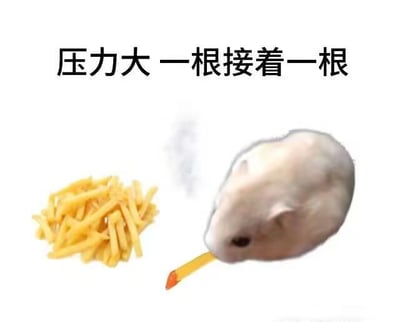 这是一张趣味P图梗图，画面中一只真实的仓鼠嘴部被P上了一根薯条，薯条的顶端被处理成点燃的烟头模样，还带有烟雾效果，仓鼠的旁边堆放着一堆薯条。图片上方配有文字“压力大 一根接着一根”，用可爱的仓鼠和薯条模仿人类压力大时一根接一根抽烟的状态，以此调侃当代人在面对压力时，通过吃东西来缓解情绪的日常，用幽默的方式表达压力大的心情，没有双关、谐音梗等内容。