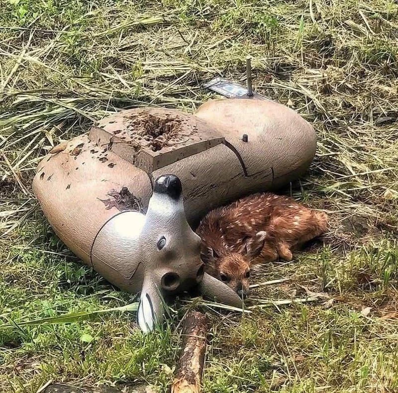 户外射击训练用品