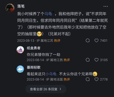 这是一张社交媒体平台的热评截图，用户“落笔”（IP属地江苏）于2023年8月13日分享了自己童年的愧疚趣事：小时候和养的乌龟拜把子，许下同生共死的誓言，却因为要去外地，年少无知将乌龟放在空抽屉里导致其死亡，对此表达了歉意；该评论获得7401个点赞。下方两条热评分别来自用户“纸盒勇者”（IP属地江西）和“暮雨轻歌”（IP属地法国），前者调侃乌龟替他挡了一劫，后者调侃乌龟不认这个兄弟，两条评论也分别获得3105和2778个点赞，整体内容充满搞笑又带着一丝愧疚的氛围，引发网友共鸣。