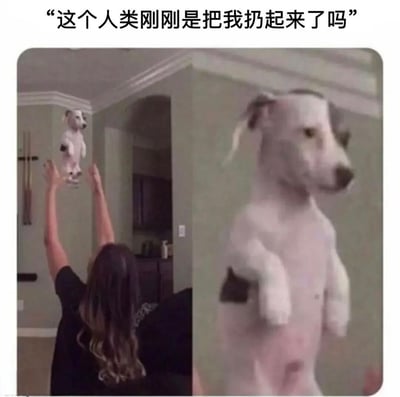 图片分为左右两部分，左侧是一个人背对镜头，双臂高举，将一只白色小狗抛向空中；右侧是小狗落地后的特写，表情看起来十分困惑。图片顶部配有文字“这个人类刚刚是把我扔起来了吗”，模拟小狗的内心想法，营造出搞笑的效果。
