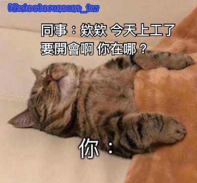 图片中是一只橘猫仰卧在浅色表面上，双眼紧闭，四肢自然伸展，似乎处于熟睡状态。图片上方有同事的对话文字：'欸欸 今天上工了 要開會啊 你在哪？'，猫的下方标注'你：'，通过猫熟睡的姿态幽默地表达了不想上班开会、只想躺平休息的心情。