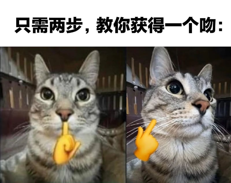 灰色虎斑猫