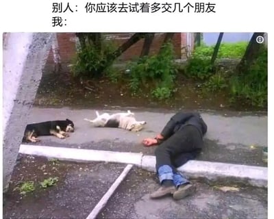 这是一张搞笑图文梗图，上方配有两段文字，“别人：你应该去试着多交几个朋友”“我：”，下方是实拍场景：一名穿着黑色上衣、蓝色牛仔裤的人趴在路边的台阶上，姿态放松，身体姿势和旁边的两只狗高度相似；画面左侧的狗侧趴在地上休息，中间的狗四脚朝天躺在地上，人和狗的状态融为一体，仿佛这个人把狗当成了自己的朋友。这张图用幽默的画面调侃了社恐人群抗拒和人社交、更愿意和动物相处的心态，精准戳中这类人群的社交痛点，用轻松搞笑的方式表达对社交的逃避。