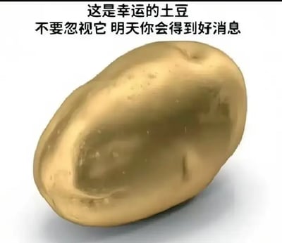 这张梗图是一张幽默的“好运图”，画面中心是一颗金色的土豆，配有文字：“这是幸运的土豆 不要忽视它 明天你会得到好消息”。整张图通过给土豆赋予“幸运物”的属性来调侃网络迷信文化，适合自嘲、许愿、娱乐场景。没有谐音梗或明显双关，但有夸张和反差萌的搞笑氛围。