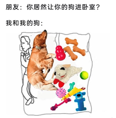 这张图以幽默的反差感展现了铲屎官允许狗狗进入卧室后的真实日常。上方文字是朋友的质疑：“你居然让你的狗进卧室？”，下方的画面中，一只金毛犬惬意地仰躺在床上，占据了床的核心位置，周围散落着各种狗狗玩具，包括骨头造型玩具、红色橡胶球、毛绒羊玩偶、绿色网球、彩色绳结玩具等，而铲屎官仅以线稿形式被挤在床的最边缘，几乎没有立足之地，形象地表现出在这个空间里狗狗才是“主导者”，铲屎官完全被忽略，精准戳中了众多宠物主人在与宠物相处时的“卑微”又好笑的状态，充满了生活趣味。