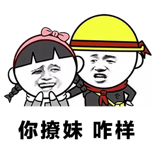 你撩妹咋样表情包