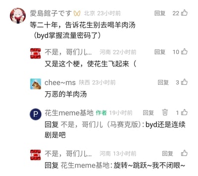 这是一张社交媒体评论区的静态截图，内容是网友们围绕“花生”“羊肉汤”的经典meme梗展开玩梗互动。用户“愛島館子です”调侃要提醒花生别喝羊肉汤，还说相关账号掌握流量密码；用户“不是，哥们儿...”吐槽这个梗反复出现，提到“使花生飞起来”；用户“chee~ms”吐槽“万恶的羊肉汤”；账号作者“花生meme基地”回复网友，吐槽这个梗像连续剧一样反复出现，最后该网友用歌词回应，整体氛围轻松搞笑，是meme圈子里典型的玩梗互动场景。