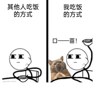 这是一张左右分栏的静态搞笑梗图，采用简笔画与真实猫咪表情包合成的方式创作。左侧栏标注“其他人吃饭的方式”，画面是一个面无表情的简笔画小人，双手端着碗正常进食；右侧栏标注“我吃饭的方式”，同样的简笔画小人，但碗被设计成带长杆的样式递到嘴边，画面中间插入一只张大嘴巴、伸出爪子的橘猫，上方配文“口——苗！”，将“喵”字拆分，模仿猫咪的叫声，夸张地表现自己吃饭时像猫咪一样急切、仿佛要抢食的状态，通过和他人正常吃饭的行为形成强烈反差，制造出荒诞搞笑的效果。