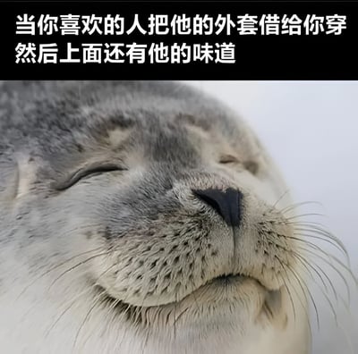 图片上方为黑色背景白色文字，内容是“当你喜欢的人把他的外套借给你穿 然后上面还有他的味道”，下方是一张海豹的特写照片。海豹双眼紧闭，面部表情看起来十分满足和幸福，仿佛正沉浸在收到喜欢的人外套并闻到其味道时的甜蜜感受中，整体营造出一种温馨、娇羞的氛围。