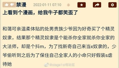 这是一张社交媒体截图，内容是用户分享的一段极具反差感的二次元漫画剧情。发布者表示看到这个漫画后笑得不行，剧情设定为：原本和蔼可亲、温柔体贴的处男贵族少爷，出于好奇购买了一名精灵奴隶，却意外发现这名奴隶是实力强大、能轻易灭门的大法师，同时还是个抖M，为了寻求新奇体验自愿来当性奴隶。少爷偷听到这个秘密后，为了保住全家人的性命，只能被迫假装成施虐者去虐待她。整个剧情充满了荒诞的反差感，将贵族少爷的懦弱被迫与精灵大法师的强势抖M设定结合，形成了极具笑点的宅圈趣味内容。