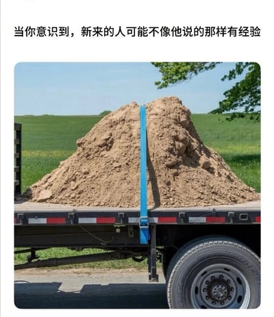 这是一张职场吐槽类梗图，采用顶部配文加下方实景图的顶配底文形式。顶部文字为“当你意识到，新来的人可能不像他说的那样有经验”，下方实景图展示了停在户外草地旁的平板卡车，货斗上堆放着两大堆沙土，仅在两堆沙土的缝隙中间垂直放置了一根蓝色绑带，这根绑带完全没有缠绕固定沙土，起不到任何固定作用。图中用这种离谱的无效操作，讽刺了新入职员工在求职时声称自己具备丰富经验，实际入职后能力严重不足、完成的工作毫无实际价值的职场常见场景，笑点贴切形象。