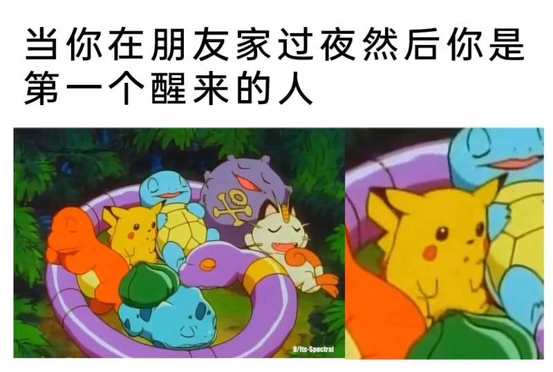 妙蛙种子
