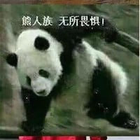 熊猫头