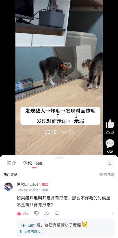 视频截图展示两只虎斑猫在室内木地板上对峙的有趣场景。两只猫咪都处于炸毛状态，尾巴竖起，身体紧绷，似乎在互相示威。画面上方的文字生动描述了猫咪的心理活动过程：发现敌人→炸毛→发现对面炸毛→发现对面示弱→示弱。视频下方显示有2.9万点赞和658条评论，热门评论区有用户幽默提问："如果猫炸毛叫开启脊背形态，那么不炸毛的时候是不是叫非脊背形态？"