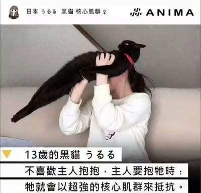 这是一张记录宠物日常的图文内容，图中一位穿着白色上衣的主人坐在沙发上，试图抱起自家13岁的黑猫うるる，这只黑猫非常抗拒被主人抱抱，它将身体完全绷直，用核心力量把自己“架”在主人的脸上，以此来抵抗主人的拥抱动作。图中的文字详细介绍了这只黑猫的情况：它名叫うるる，今年13岁，不喜欢主人抱抱，每次主人要抱它时，都会用超强的核心肌群来抵抗，画面充满了趣味，能引发养宠人士的共鸣。