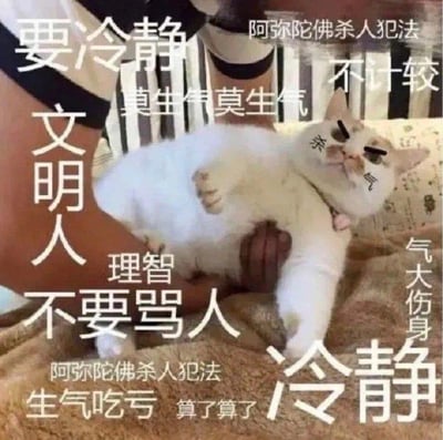 图片主体是一只被人抱起仰卧的白色猫咪，猫咪表情不耐烦，眉毛被P成愤怒的八字眉。周围环绕着大量白色醒目文字，包括“要冷静”“文明人不要骂人”“莫生气莫生气”“阿弥陀佛杀人犯法”“不计较”“理智”“生气吃亏”“算了算了”“冷静”“气大伤身”等劝人控制情绪的内容。通过猫咪暴躁表情与劝冷静文字的反差制造幽默效果，常用于网络聊天中劝导他人或自嘲时使用。