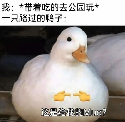 这张梗图上方配有文字'我: *带着吃的去公园玩* 一只路过的鸭子:'，下方是一只白色鸭子的照片，鸭子胸前被编辑上两个黄色的指向手势emoji，图片底部还有文字'这是给我的Mua?'。通过拟人化手法，幽默表现了动物看到食物时的期待反应，营造出可爱搞笑的效果。