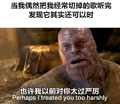 图片上方文字为'当我偶然把我经常切掉的歌听完 发现它其实还可以时'，下方是电影《复仇者联盟》中灭霸的剧照，他表情凝重，配文'也许我以前对你太过严厉'及英文翻译'Perhaps I treated you too harshly'。通过灭霸懊悔的经典表情，幽默地表达了人们偶然听完常跳过的歌曲后，发现其实不错并感到些许后悔的日常体验。