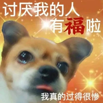 图片主体为一只小狗的面部特写，狗狗有着大大的圆眼睛和微张的嘴巴，表情看起来无辜又带点委屈。背景是橙黄色渐变并点缀着闪亮的星光特效。图片上方有白色大字“讨厌我的人有福啦”，其中“福”字特意用红色突出显示；下方则是白色文字“我真的过得很惨”。整体通过反差萌的狗狗表情和自嘲式文字形成幽默效果，属于典型的网络调侃类梗图。
