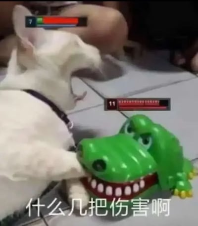 这是一张二次创作的搞笑表情包，主体为一只白色小狗把爪子伸进绿色咬手鳄鱼玩具的嘴里，被夹住后张嘴吐舌，看起来疼痛受惊。创作者给画面加上了游戏风格的血条：小狗上方的血条等级为7，剩余血量极少；鳄鱼玩具上方的血条等级为11，血量十分充足。图片底部配文“什么几把伤害啊”，借用游戏里伤害数值的设定调侃小狗被玩具夹得痛感很强，趣味性十足。