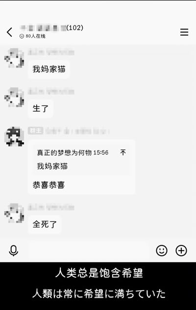 这是一张经过马赛克处理的竖屏社交群聊截图，群内一名成员分两条消息告知群友“我妈家猫”“生了”，群主看到后及时回复“恭喜恭喜”表达祝贺，随后该成员又发送消息“全死了”，瞬间让之前的喜悦氛围反转成失落，形成强烈的黑色幽默效果。图片底部添加了中日双语的文字“人类总是饱含希望”“人類は常に希望に満ちていた”，用带有讽刺意味的文案放大了这种希望突然落空的荒诞感，整体内容是用来调侃生活中这类突发的反转事件，传递出搞笑又无奈的情绪。